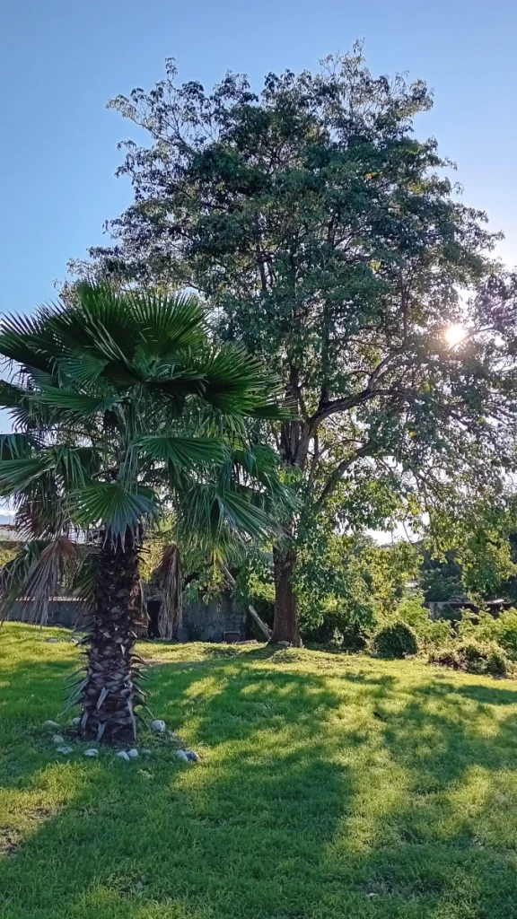 The landscape nearby the home-office of Tiddle